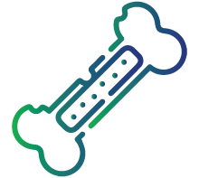 Low bone density (osteoporosis or osteopenia)