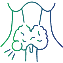 Parathyroid disease