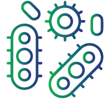Recurrent infections