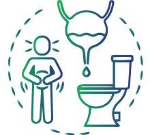 Painful/frequent urination