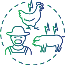 If you are working in a slaughterhouse, dairy, or farm and have potentially come into contact with the Brucella bacteria due to a cut or exposed wound