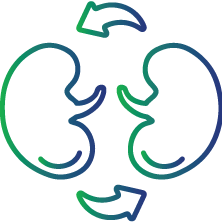 People who have recently received an organ transplant