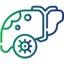 To aid in the evaluation of liver function