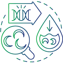Hemoglobinopathy, an abnormal form of hemoglobin