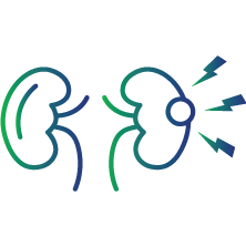 Monitor immune complex-related conditions e.g. glomerulonephritis (GN)