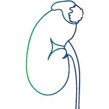 As a follow-up test to urine metanephrine or plasma free metanephrines for confirming the diagnosis of adrenal gland tumours