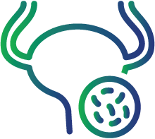 Urinary tract infections (UTIs)