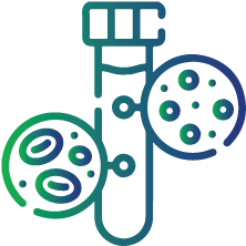 Individuals with low levels of iron (anaemia)