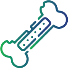 To assess the bone health