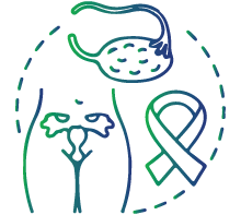 To detect mutations within genes linked to increased Hereditary Breast and Ovarian Cancer (HBOC) syndrome risk