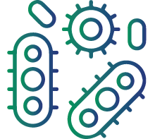 Increased susceptibility to infections