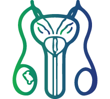 Painful or swollen testicles