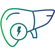 Find out liver abnormalities