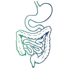 Intestinal diseases (which affect calcium absorption)