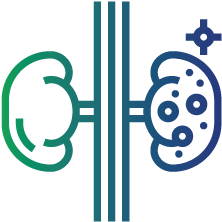 Kidney diseases such as kidney stones