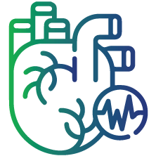To confirm heart failure in individuals exhibiting symptoms