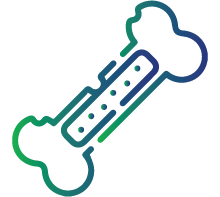 Loss of muscle and bone