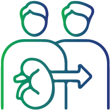 Recent recipient of an organ or stem cell transplant