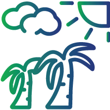 Individuals who have recently travelled to tropical locations