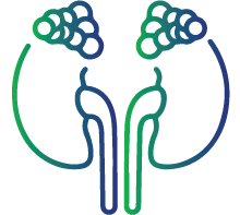 Addison Disease (Adrenal gland)