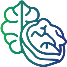 Certain nuts, including walnuts and pecans