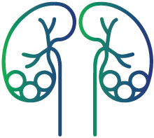 Kidney diseases like stone formation