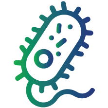 Determining the specific type of bacteria causing an infection