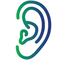 Thickened and darkened cartilage in ears