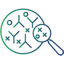 To screen for antibodies to the rubella virus during pregnancy