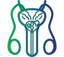 Pain or swelling in testes