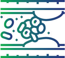 Blood clots in your veins (deep vein thrombosis)