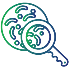 Living in a place of highest prevalence of the bacteria