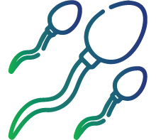 Experience sperm agglutination (sperms stick together