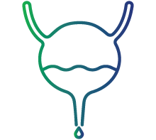 Discharge from the urethra