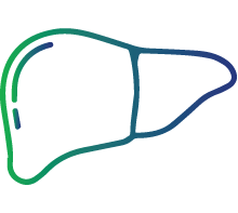 Enlarged liver