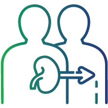 To check bone marrow function after bone marrow transplant or chemotherapy