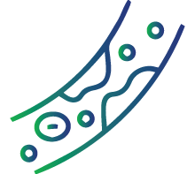 Hypercholesterolemia (high levels of blood cholesterol