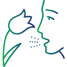 Any previous pollen allergy