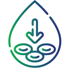 To diagnose specific types of anemia