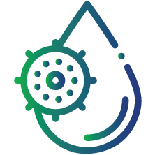 Presence or history of another sexually transmitted or blood-borne infection