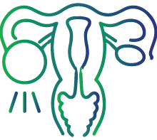 Polycystic Ovary Syndrome (PCOS)