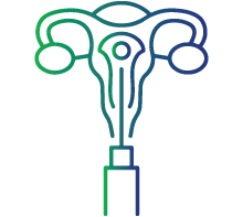 IVF (in-vitro fertilization) procedures