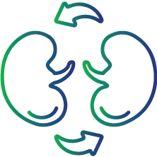 People who have recently received an organ transplant