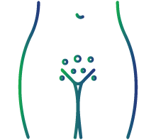 Small bumps around the genitals, anus or mouth