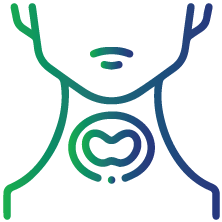 Diagnosing thyroid disorders like hyperthyroidism and hypothyroidism