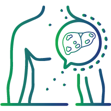 To keep track of how contagious HBV carriers are