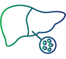 Find out liver abnormalities
