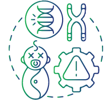 To investigate chromosomal abnormalities in foetus