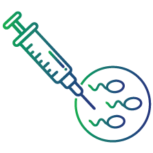 To evaluate the ovarian function and fertility issues, especially during in vitro fertilization (IVF)