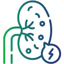 To identify the nature of kidney stones